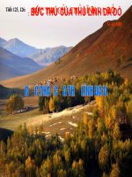 Tiết 125-126: BỨC THƯ CỦA THỦ LĨNH DA ĐỎ