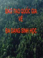 Dao tao quoc gia ve da dạng sinh hoc