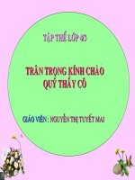 Bài Tích cực tham gia các hoạt động nhân đạo