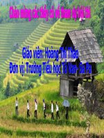 bài voi nhà tuần 24