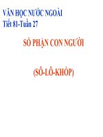 SỐ PHẬN CON NGƯỜI -SOLOKHOP