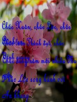 bài 24- đường Trường Sơn