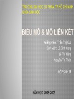 Giáo trình biểu mô và liên kết biểu mô
