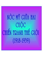Nuoc My giua hai cuoc chien tranh the gioi