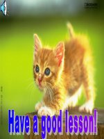 unit 10 Ạ-8.lớp 6