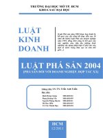 Tiểu luận luật kinh doanh LUẬT PHÁ SẢN 2004 PHÁ SẢN ĐỐI VỚI DOANH NGHIỆP, HỢP TÁC XÃ