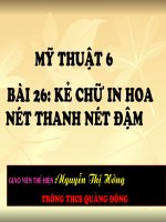 ke chu in hoa net thsanh net dam