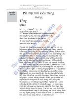 Pin mặt trời dạng màng mỏng pot