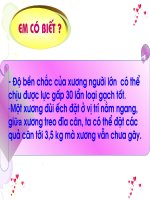 cấu tạo và tính chất của xương