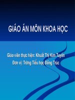 sử dụng tiết kiệm an toàn điện