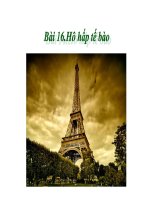 Bài 16.Hô hấp tế bào