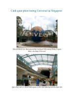 Cảnh quan phim trường Universal tại Singapore ppt