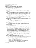 CÔNG NGHIỆP HÓA TRƯỚC ĐỔI MỚI docx