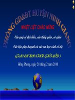 Rung chuong vang Lop 5