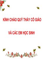 Quá trình hình thành đặc điểm thích nghi