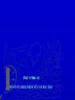 Tiết 17-Số vô tỉ. Khái niệm về căn bậc hai