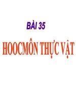 Bài 35:Hoocmon Thực vật