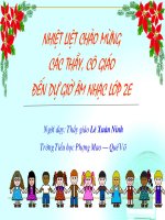 chim chich bong -lop2