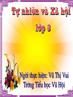 Mot so hoat dong o truong