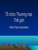 Tổ chức Thương mại thế giới WTO