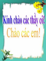 bài 28:VẤN ĐỀ TỔ CHỨC LÃNH THỔ CÔNG NGHIỆP