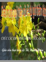 Tiết 24: Thực hiện trật tự ATGT (Thi GVDG Lệ Thủy)