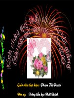 Tập nặn tạo dáng tự do. Vẽ, xé dán con vật