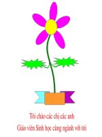 Ngô Văn Hưng: Bổ sung, mở rộng kiến thức một số phần kiến thức sinh học PT, đặc biệt là sinh học 12