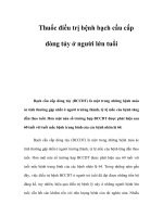 Thuốc điều trị bệnh bạch cầu cấp dòng tủy ở người lớn tuổi pot