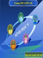 sinh 9 : Tim hieu thanh tuu giong cay trong