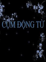 CUM ĐỘNG TỪ