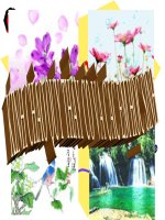 Bai 26. Sinh san cua VSV