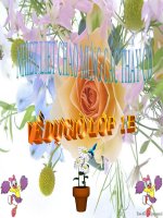 học vần: Bài 85:ăp-âp