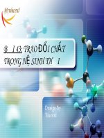 Bài 43: TRAO ĐỔI CHẤT TRONG HỆ SINH THÁI