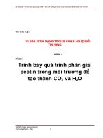Bài tập thảo luận: 