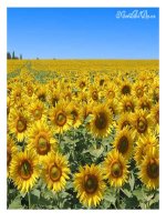 Các phép toán số phức