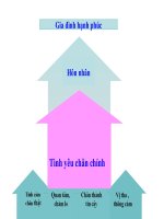 bài 12: công dân với tình yêu hôn và gia đình