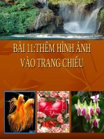 bài 11:them hình ảnh vào trang chiếu