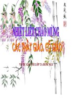 TNXH Lơp1: Bài Con gà