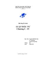 Tiểu luận luật kinh doanh Luật Đầu Tư 2005 (Chương I – IV)