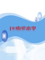 Bài 14-15: Tệp và các thao tác với Tệp