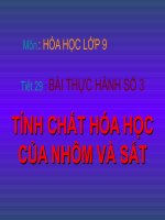 Bài thực hành Al và Fe