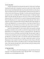 Tác động của hiệp định TRIPS đến chuyển giao công nghệ cho các nước đang phát triển