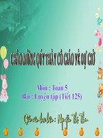 Toán 5. Luyện tập.Tiết 125.Tuần 25