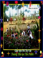 LTVC- nối các vế câu ghép bằng quan hệ từ