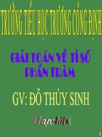 Giải toán về tỉ số phần trăm - Dạng bài 1