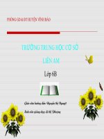 Quyet , cay duong xi