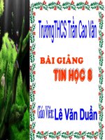 Tiết 47-48 Tin học 8