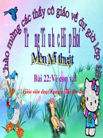 Mĩ thuật lớp 1: Vẽ con vật