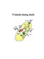 Vi khuẩn kháng thuốc pdf
